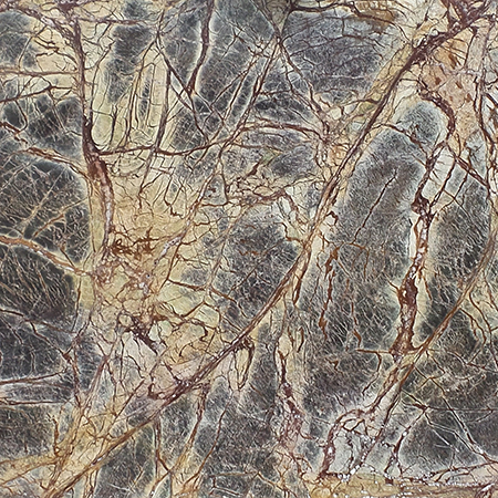 /client/1813/marble/Rainforest Brown - Westchester New York Academy Marble and Granite